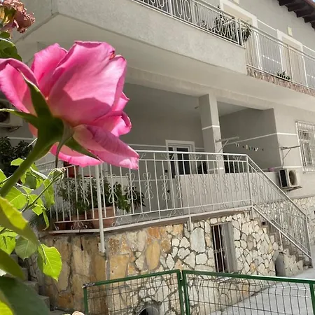 Large * Vlora